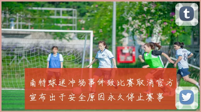 南特球迷冲场事件致比赛取消官方宣布出于安全原因永久停止赛事