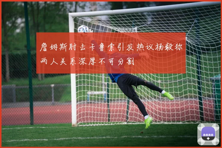 詹姆斯肘击卡鲁索引发热议杨毅称两人关系深厚不可分割